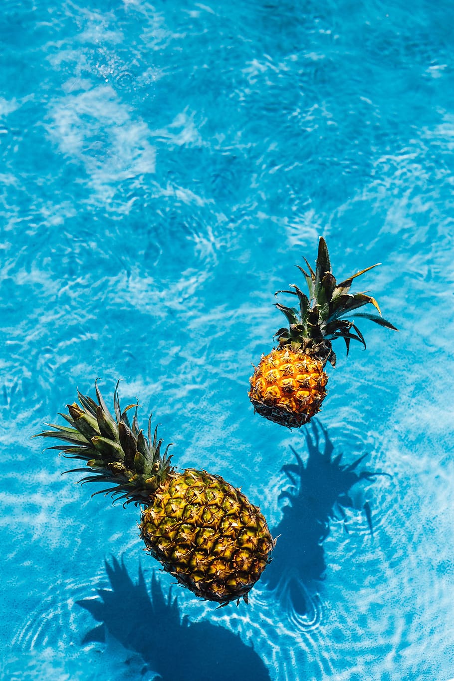 Pineapple Patterns, sunlight, above, floating on water, pineapples Free HD Wallpaper