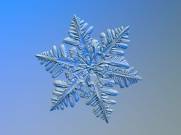 Real Snow Flake, glittering, symmetry, ice, thin Free HD Wallpaper