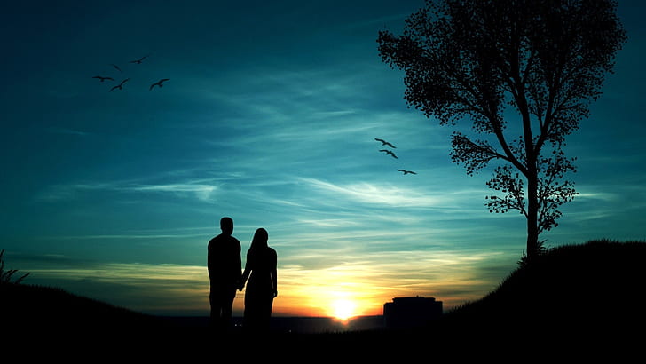 Romantic Sunset Silhouette, silhouette, evening, romantic, birds Free HD Wallpaper