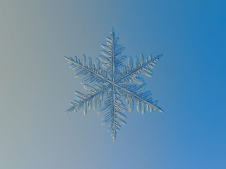 Snow Ice Crystals, storm, microscopic, new year, season