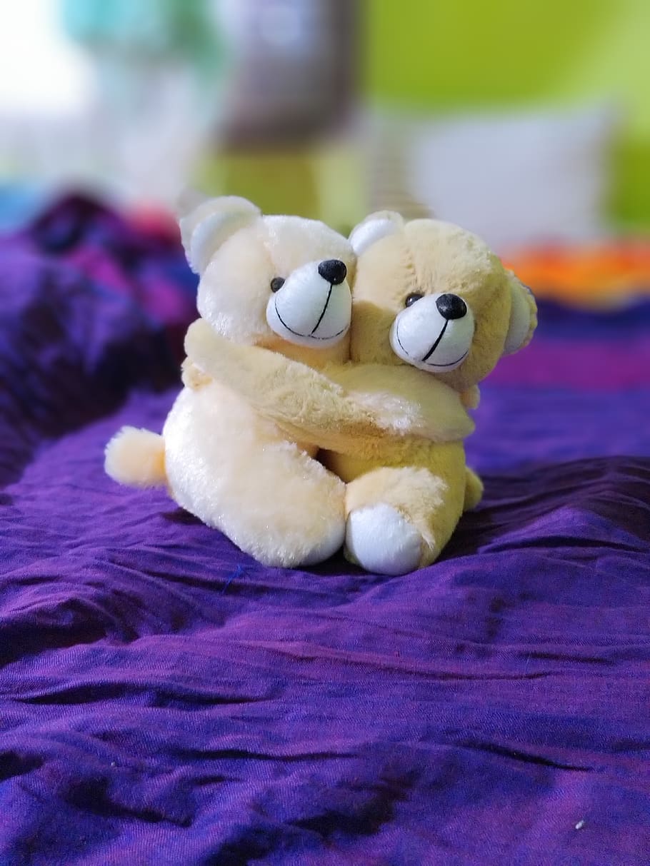 Teddy Bears in Love, focus on foreground, indoors, creativity, softness Free HD Wallpaper