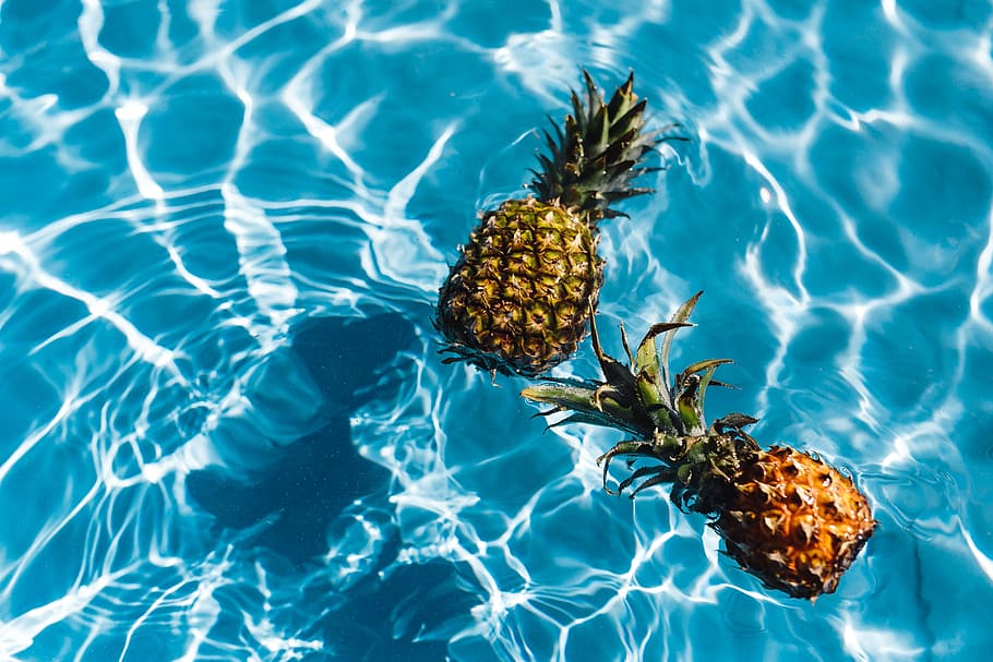 Tropical Pineapple, nature, no people, vacations, pineapple Free HD Wallpaper