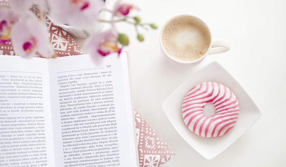 Coffee and Donuts Art, candy, sweets, plant, pillow