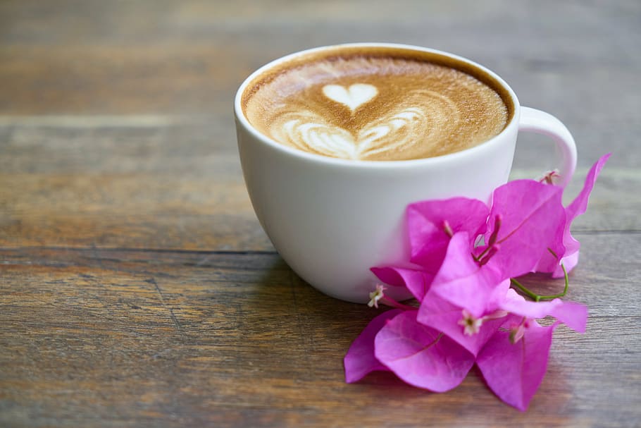 coffee  drink, flower, freshness, pink color Free HD Wallpaper