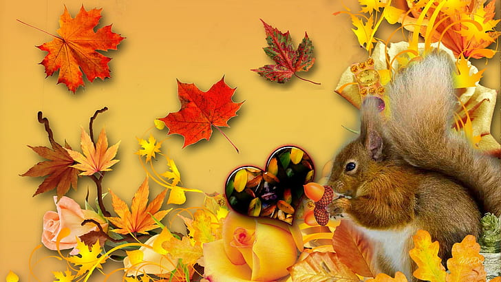 Fall Pumpkins, animals, autumn, squirrel, fall Free HD Wallpaper