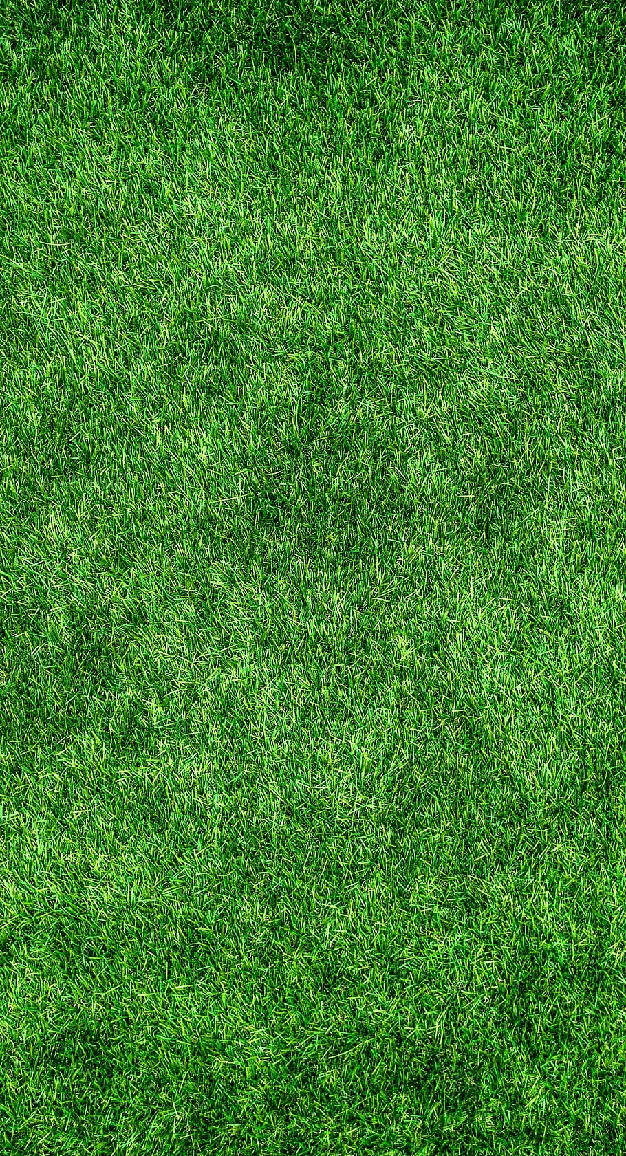 Grass Texture Pattern, gregarious, full frame, playing field, lawn Free HD Wallpaper