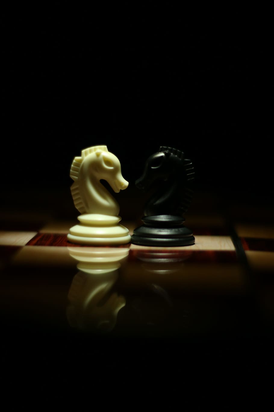 knights, board, board game, chessboard Free HD Wallpaper