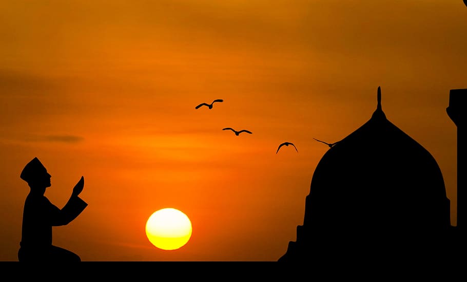 Muslim Woman Praying, arab, worship, animal, sky