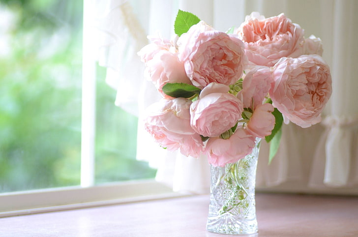 Peonies Flowers Photography, elegance, inflorescence, arrangement, wood  material Free HD Wallpaper