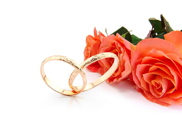 Platinum Wedding Rings, yellow, bouquet, passion, studio shot Free HD Wallpaper