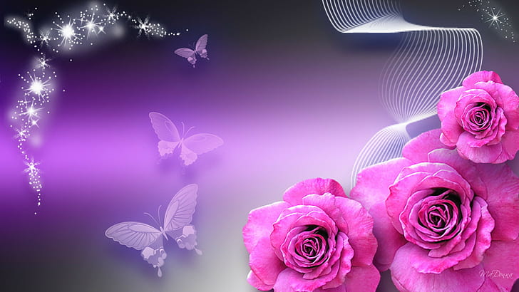 Purple Roses with Butterflies, rose live  download, large rose, rose, 3d rose live Free HD Wallpaper