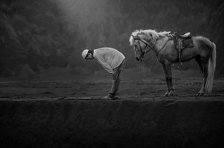 Sony World Photography Awards Winners, livestock, riding, herbivorous, animal wildlife Free HD Wallpaper