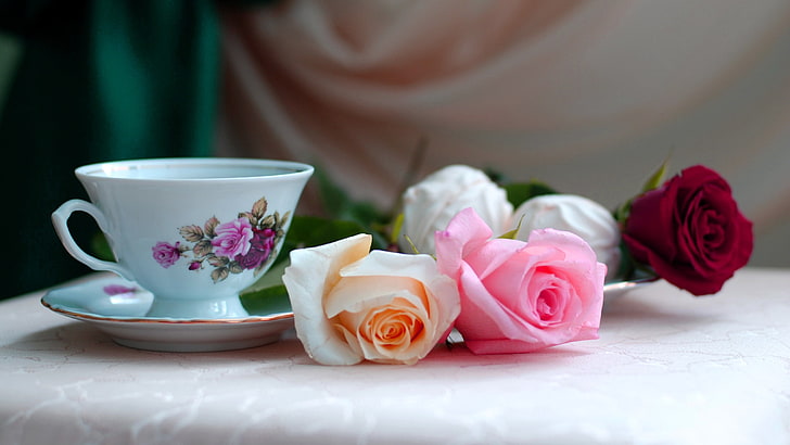 tea  hot drink, fragility, petal, flower head Free HD Wallpaper