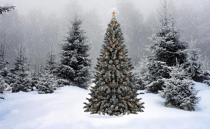 tranquil scene, snowflake, sky, evergreen tree Free HD Wallpaper