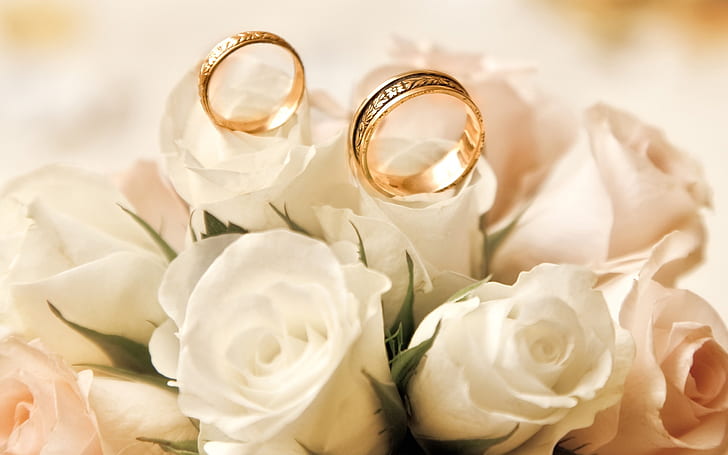 Wedding Rings Flower Design, engagement, rings, white, band; Free HD Wallpaper