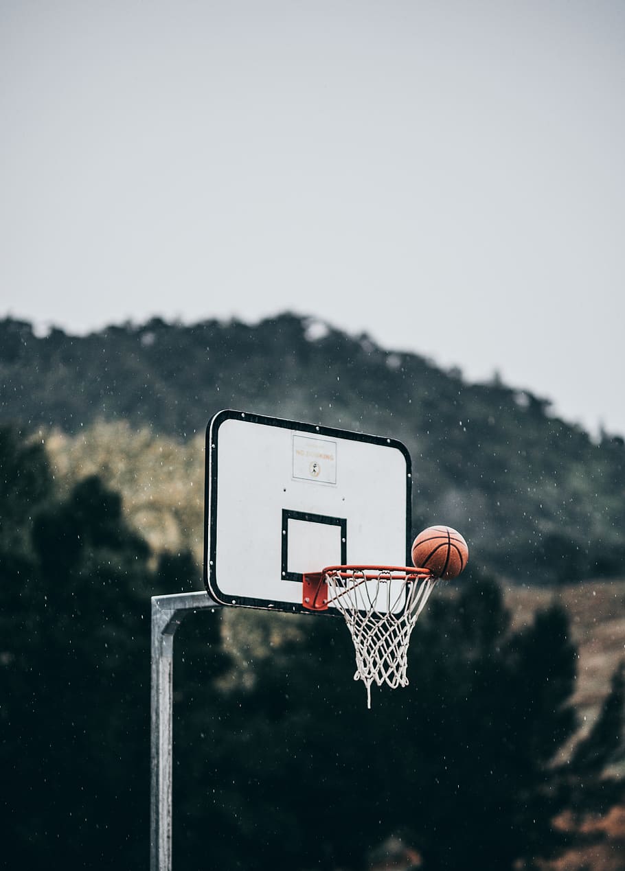 Basketball Court Near Me, focus on foreground, snow, female, plant