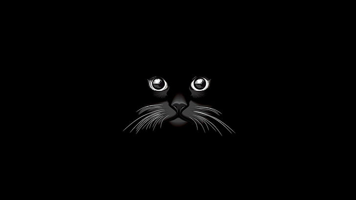 Black and White Kitten, artistic, black, cat, minimalist Free HD Wallpaper