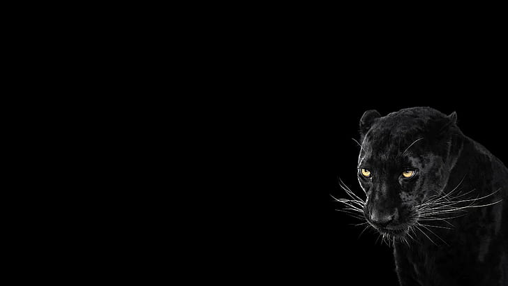 Black Panther Art, animal, black, cool, panther Free HD Wallpaper