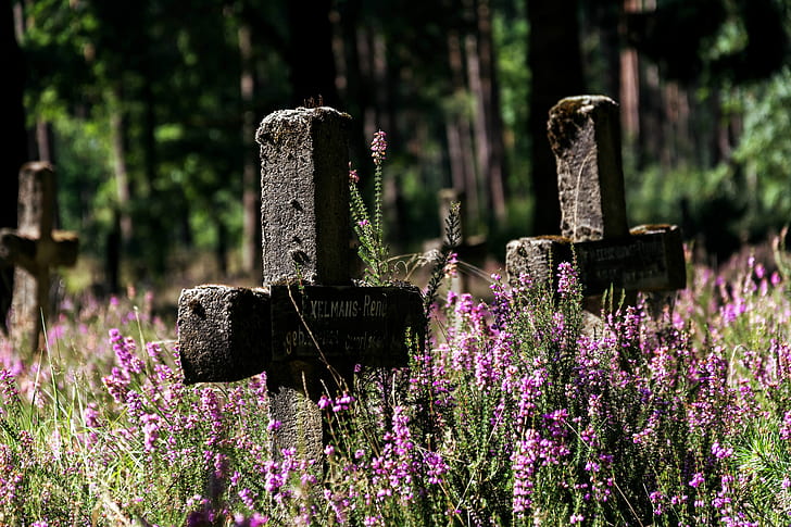 Cemetery Flowers Vase Arrangements, purple, field, focus on foreground, beauty in nature Free HD Wallpaper