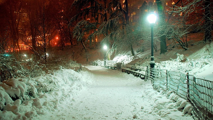 cold temperature, extreme weather, footpath, outdoors