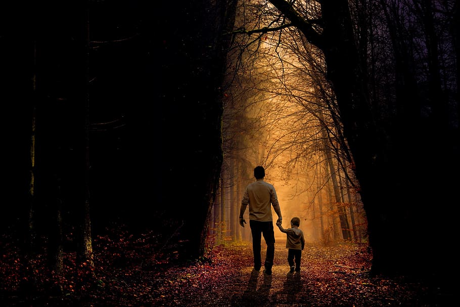 Father Son Walking Holding Hands, togetherness, nature, people, plant Free HD Wallpaper