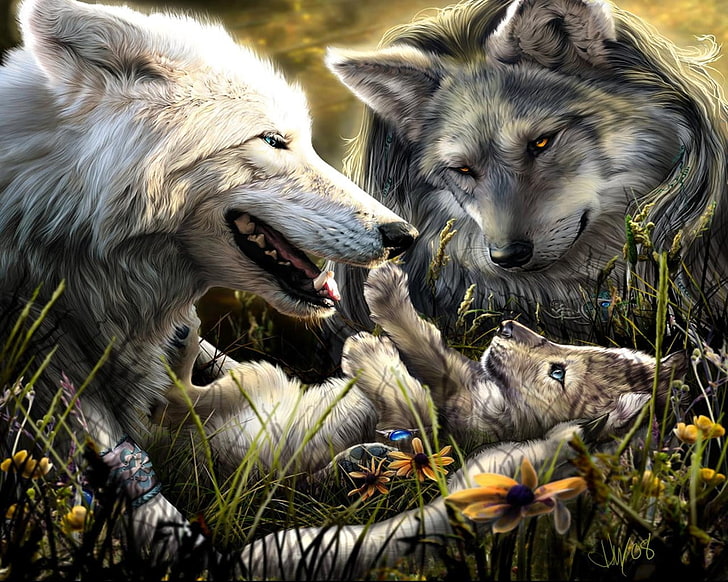 Free Wolf, outdoors, two animals, field, young animal