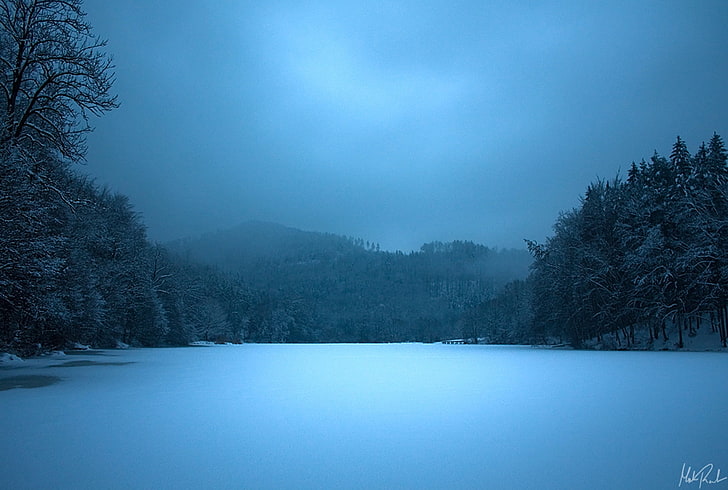 Frozen Lake Forest, light  natural phenomenon, weather, january, outdoors