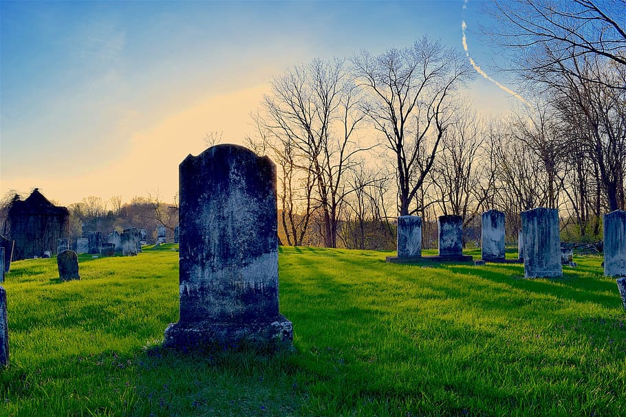 Graveyard Night, the past, plant, cemetery, nature Free HD Wallpaper