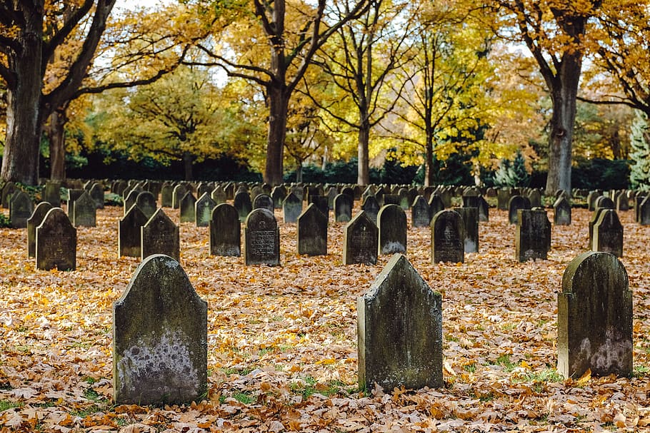 Graveyard, sadness, autumn, graves, hamburg