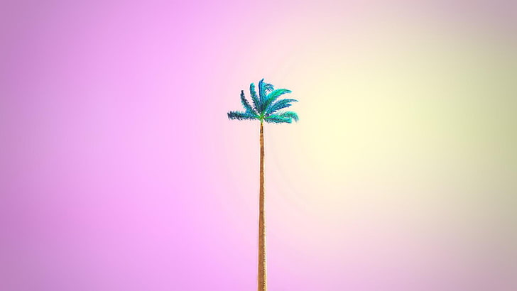 minimal art, minimal, palm, candy Free HD Wallpaper