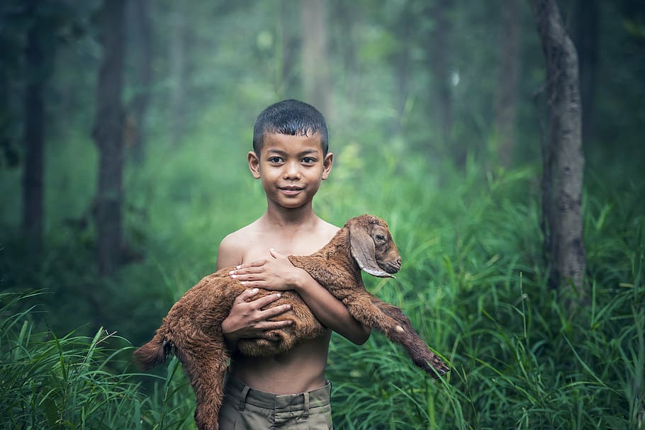 Myanmar Nature, little, agriculture, looking at camera, child