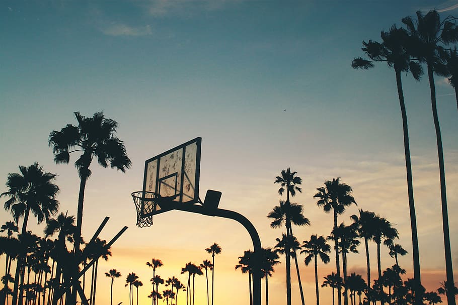 NBA 0, sunrise, leisure activity, growth, orange color Free HD Wallpaper