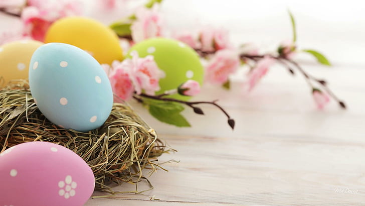 nest, pastel, colored, spring Free HD Wallpaper