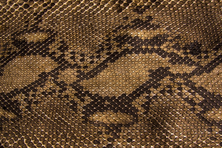 Snakeskin Fabric, high angle view, textile industry, textured, metal