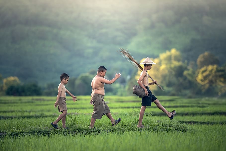 Ultra Fish, offspring, the sun, country malaysia, laos