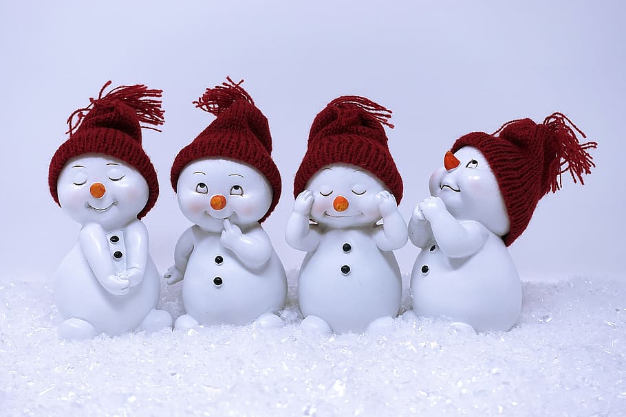 Winter Holiday Snowman, animal themes, christmas time, animal, deco Free HD Wallpaper