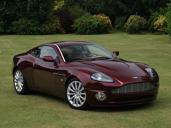 Aston Martin DB9 Vanquish, day, grass, nature, plant