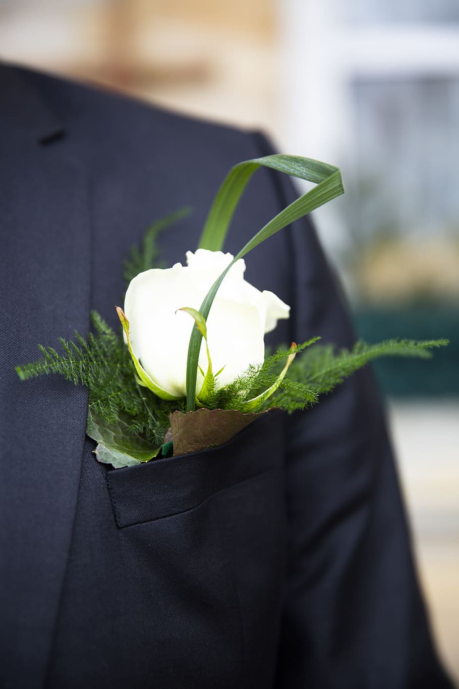 bridegroom, green color, plant part, focus on foreground