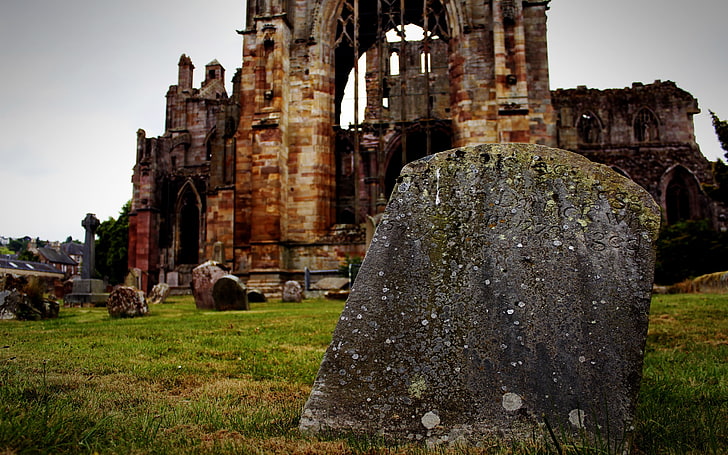 Dryburgh Abbey Scotland, ancient civilization, scotland, jedburgh, outdoors Free HD Wallpaper