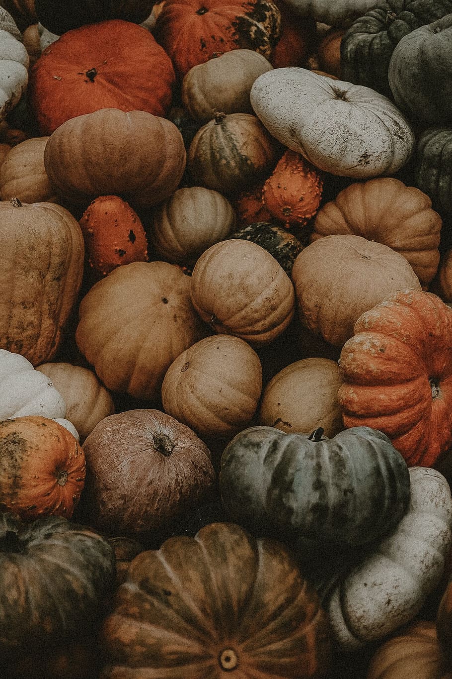 Fall Aesthetic Home Screen, fall festival, orange, brown, ripe Free HD Wallpaper