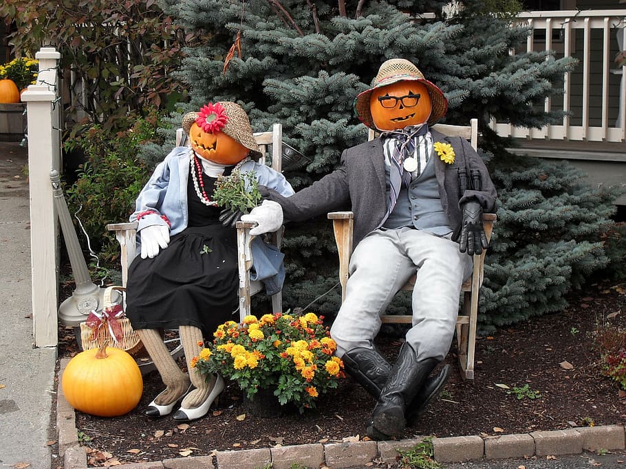 Fall Pumpkin Displays, nature, men, women, foliage