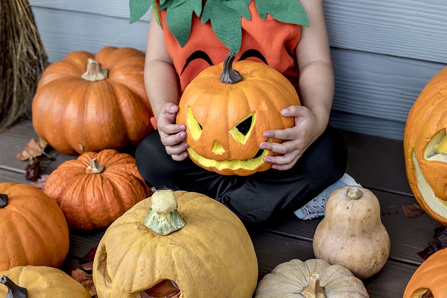 Jack O Lantern Designs, jack o lantern, orange, carved pumpkin, nature Free HD Wallpaper