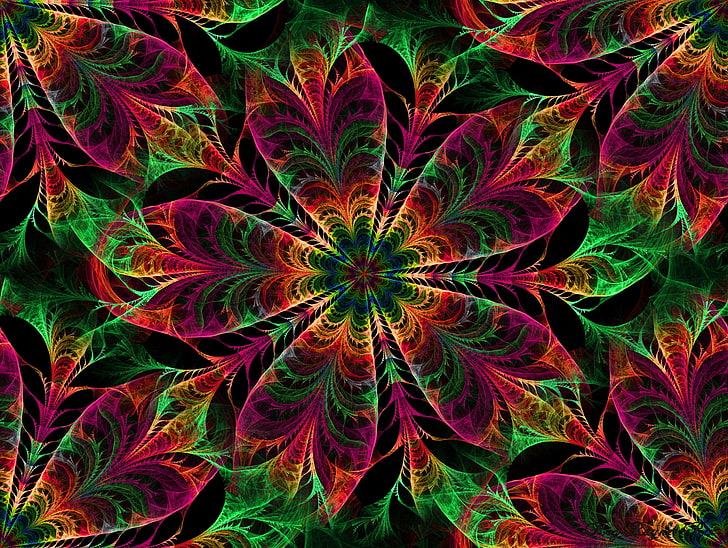 Kaleidoscope Quilt Pattern, curve, space, plant part, spiral