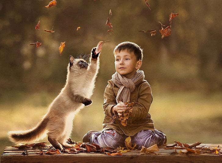 Model Face Makeup, childhood, elena shumilova, park  man made space, leaf Free HD Wallpaper