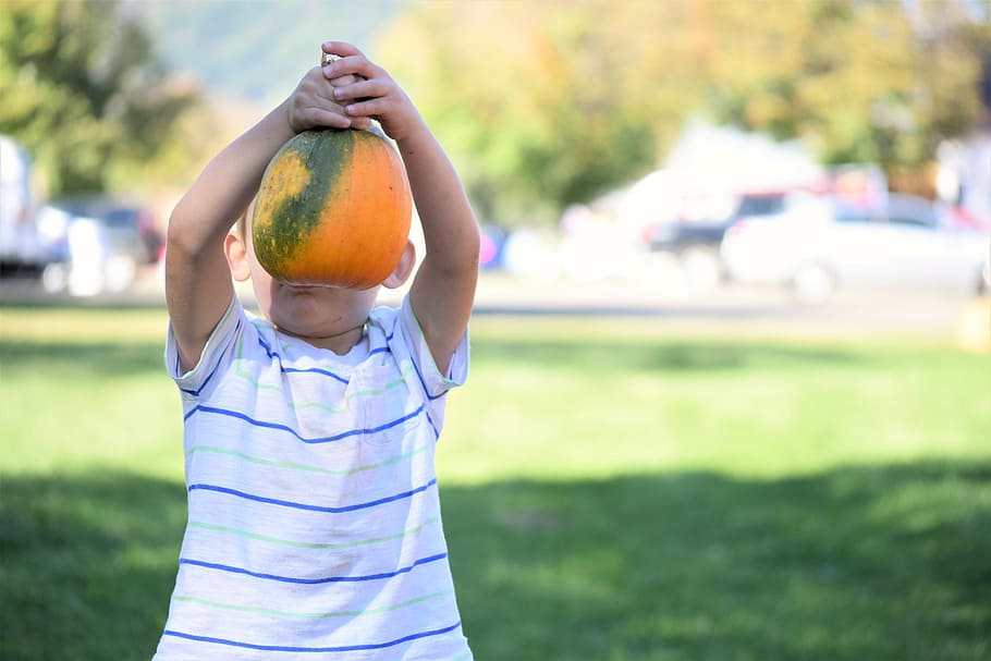 october, childhood, focus on foreground, holding Free HD Wallpaper