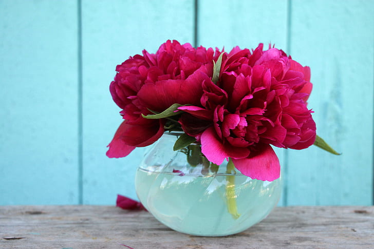 Peony Pics, bouquet,, burgundy peonies, mini bouquet, peony, Free HD Wallpaper