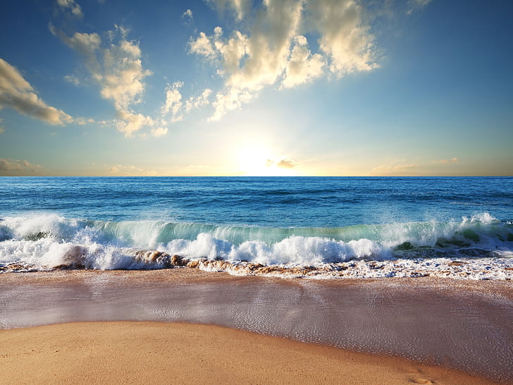 Picnic, waves,, body, beach, Beach Free HD Wallpaper