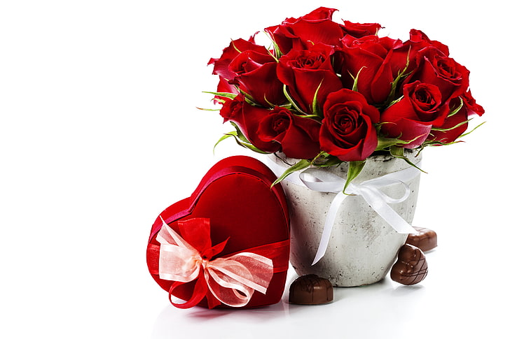 Romantic Red Roses, single flower, isolated, freshness, bunch of flowers Free HD Wallpaper