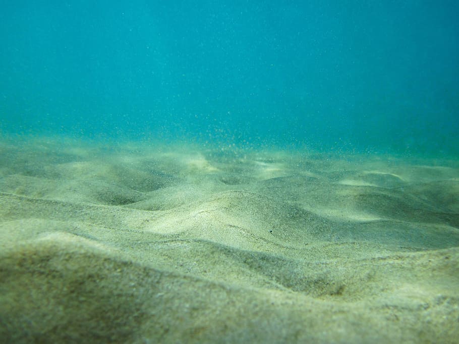 Sea Floor Photography, at the bottom of, purity, undersea, beauty in nature