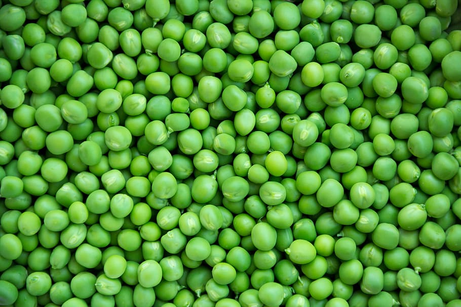 Tinned Peas, fresh picked, seed, pattern, vegan Free HD Wallpaper